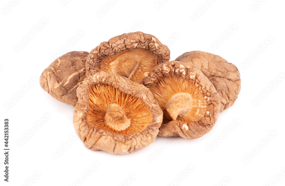 Dried shiitake mushrooms, isolated on white background. Japanese forest mushroom. Lentinula edodes. Close up. Dried shiitake mushrooms, isolated on white background. Japanese forest mushroom. Lentinula edodes. Close up.