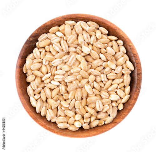 Pearl barley grains in wooden bowl, isolated on white background. Barley seed close up. Top view.