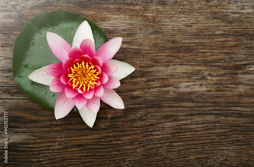  pink lily flower with a leaf in the left corner on a wooden background of an old oak. Place for text. Top view 
