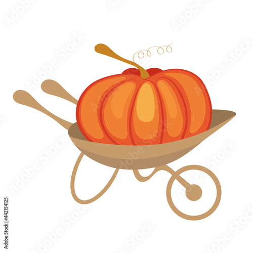 The pumpkin is in the cart, a large vegetable after harvest, preparing for Halloween. Organic farming for a vegetarian diet.