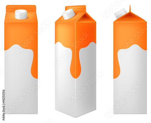 Template of juice carton box isolated on white background. Photo-realistic vector illustration.