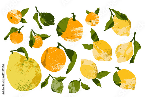 Juicy lemon, lime, mandarin, orange, clementine, bergamot, pomelo. Fresh citrus fruit, healthy organic food. Ripe fruits with leaves. Vector flat cartoon botanical illustration, for logo, stamp, mark