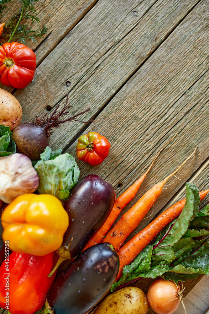 Flat lay of assortment of fresh vegetables, bio healthy, organic food