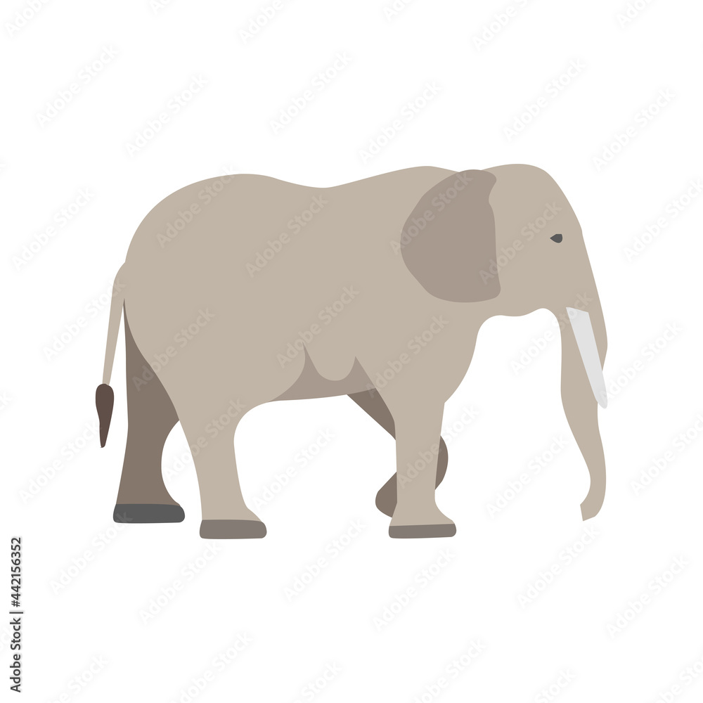 Flat elephant on white background