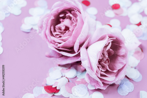 roses background in pastel color style