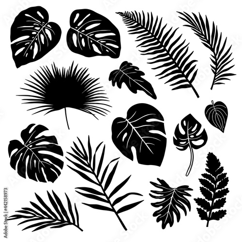 Set of silhouettes of tropical leaves.
