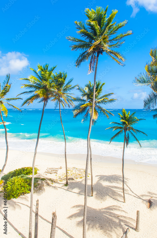 Bottom Bay beach in Barbados Bottom Bay beach in Barbados