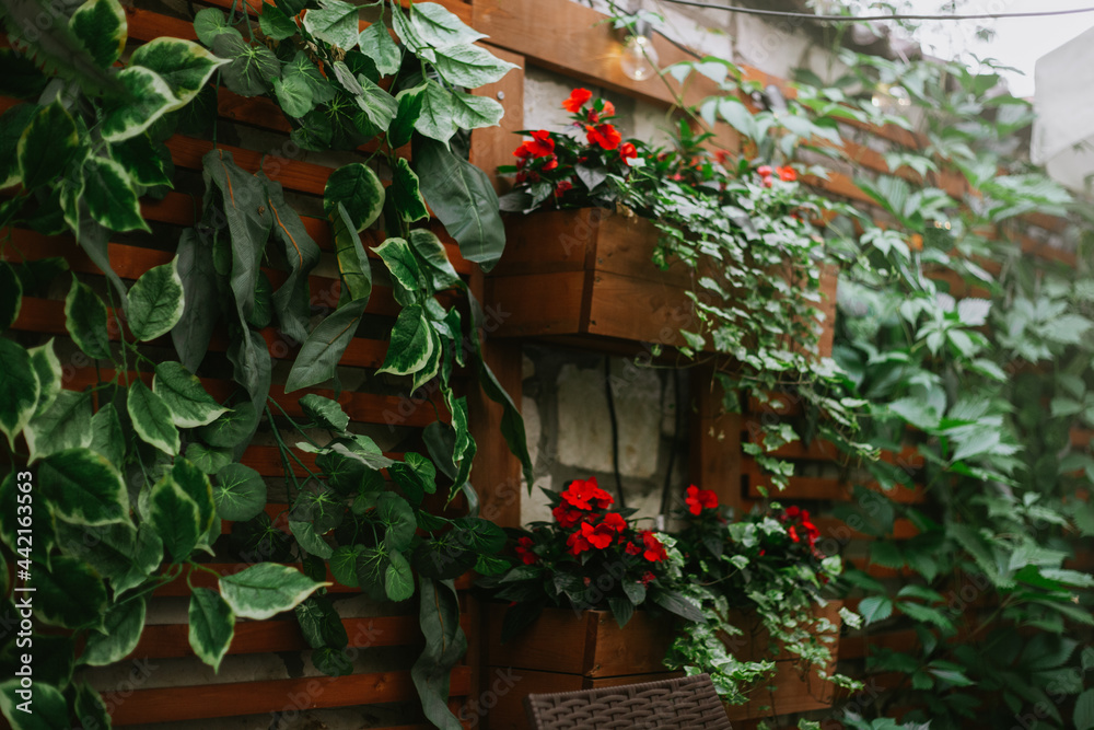 Obraz premium ivy covered house