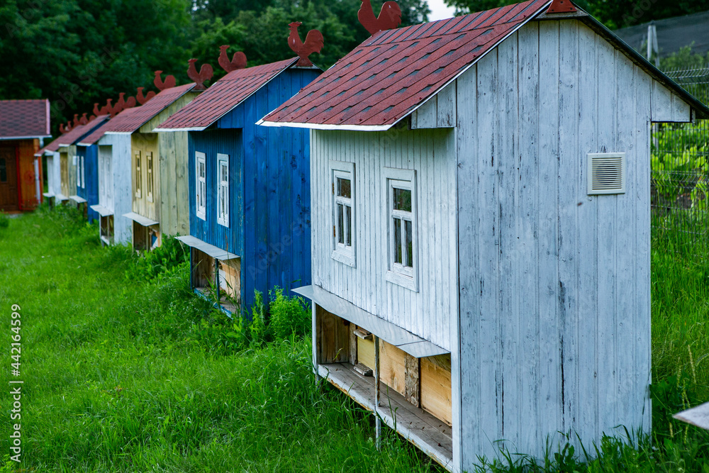 Colored bee houses on green meadow in countryside. Honey bee hives. Beautiful small decorative houses. Colored bee houses on green meadow in countryside. Honey bee hives. Beautiful small decorative houses.