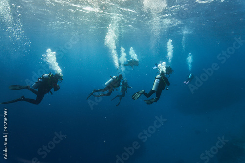 scuba diver © Pavel Karchevskii