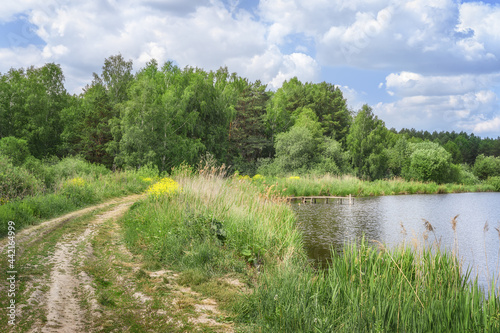 A dirt road goes around a picturesque lake with high lush grass on the banks and footbridges for fishing. Blue sky with white clouds. Summer is in full swing, the trees have bright green foliage. Ural