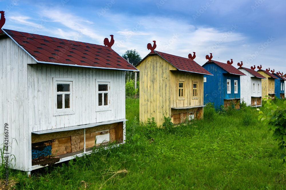Colored bee houses on green meadow in countryside. Honey bee hives. Beautiful small decorative houses. Colored bee houses on green meadow in countryside. Honey bee hives. Beautiful small decorative houses.