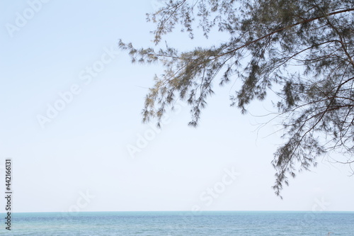 beach sea view background landscape