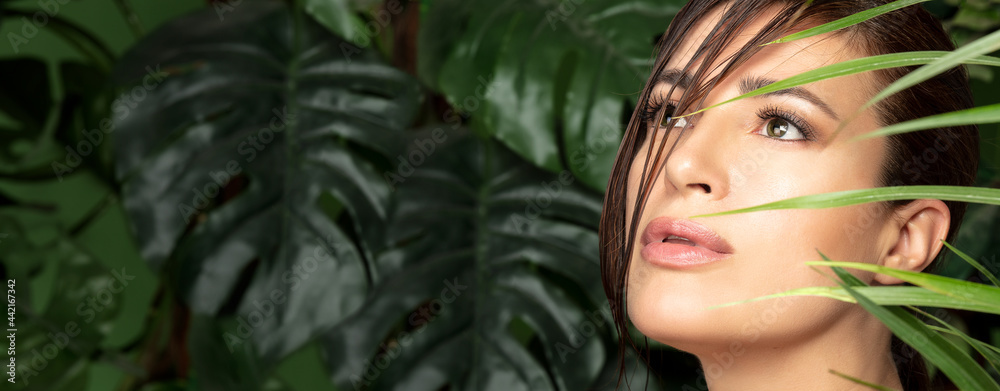 Beauty and skin care concept with a beautiful woman face amongst green tropical leaves. Wellness, natural beauty and skin care or spa treatments Beauty and skin care concept with a beautiful woman face amongst green tropical leaves. Wellness, natural beauty and skin care or spa treatments