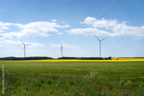 Energia odnawialna - wiatraki na polu photo