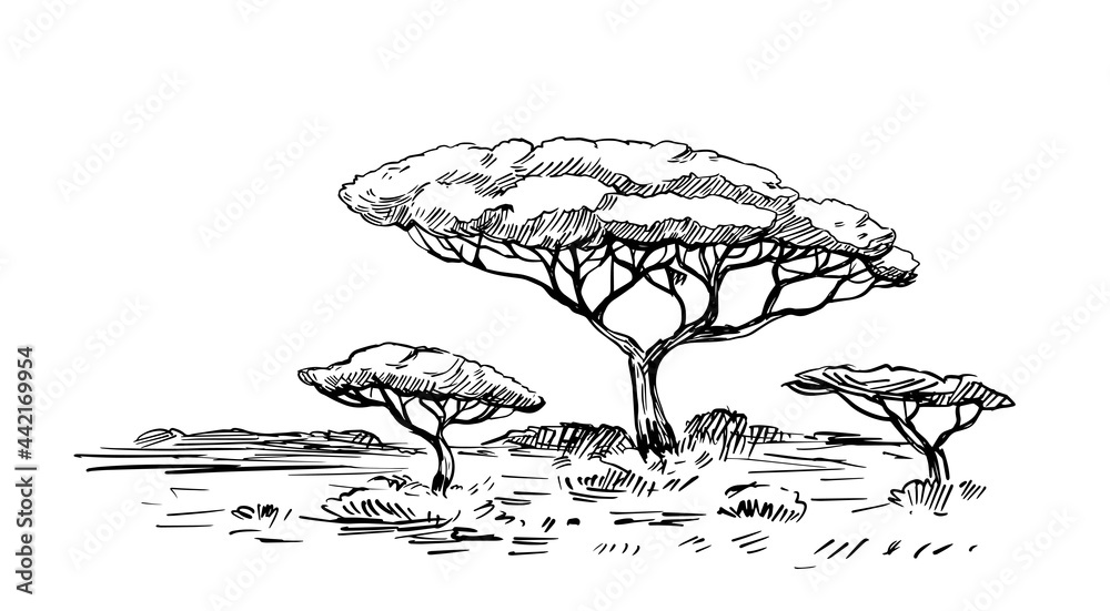 Sketch of the African savanna, landscape with trees. Black outline on ...