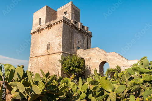 View of the historical fortification tower - Torre Colimena in village Manduria, province of Taranto, Puglia, Italy photo