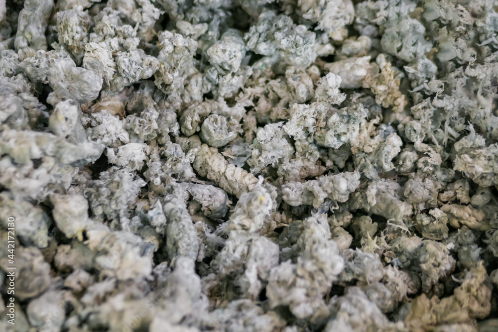 Close up top view: plastic recycling, renewable resource - heap of secondary soft plastic granules - polystyrene, polyethylene, polypropylene pellets at exhibition, trade show Close up top view: plastic recycling, renewable resource - heap of secondary soft plastic granules - polystyrene, polyethylene, polypropylene pellets at exhibition, trade show