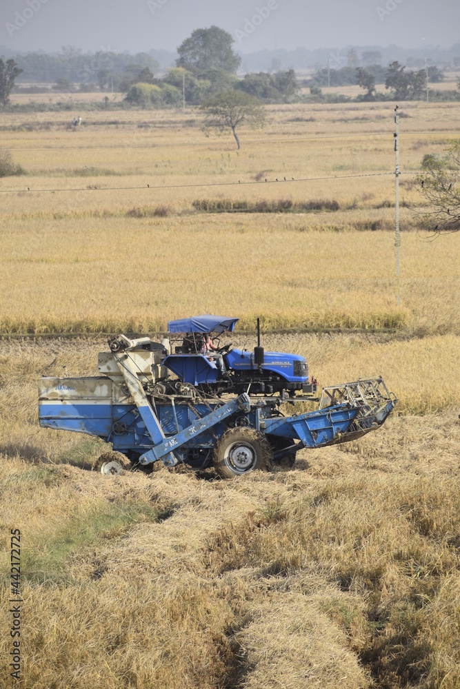 Fototapeta premium tractor in the field