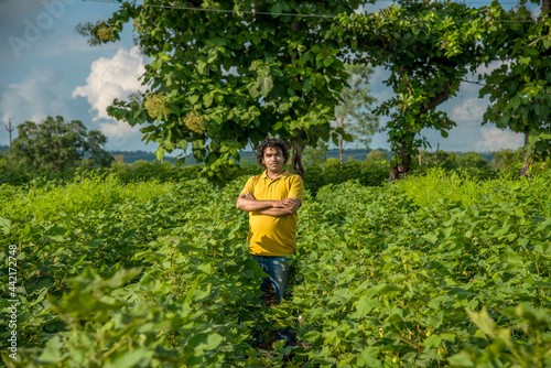 A young man farmer in a cotton farm examines and observing the field.