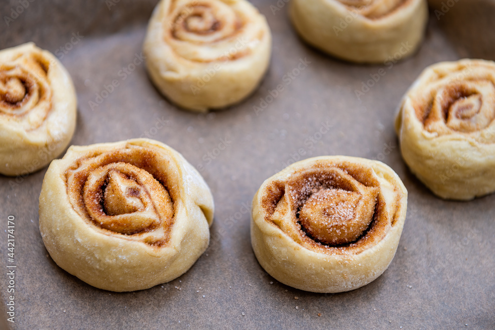 Small raw uncooked dough for cinnamon buns rolls swirl on parchment paper for rising and baking
