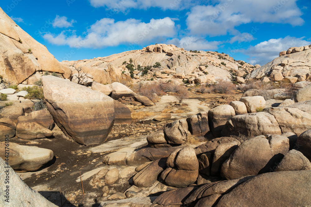 View of the Rock Formations at Joshua Tree National Park View of the Rock Formations at Joshua Tree National Park