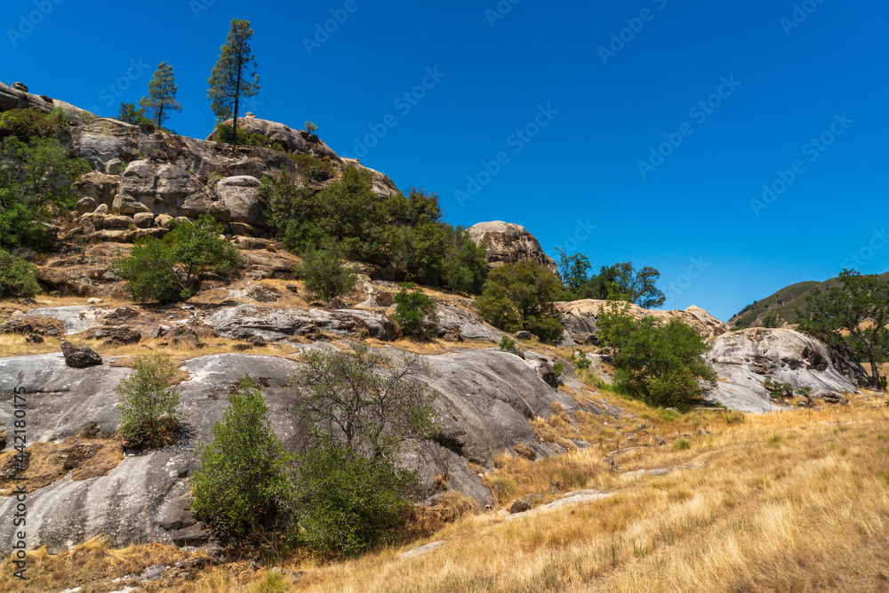 Los Padres National Forest, California