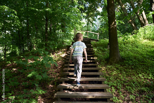 Boy 9 years old walks on a wooden ladder in the forest in summer