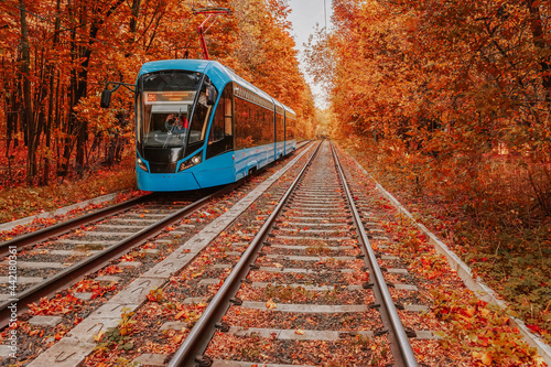 Blue Tram traveling by rail among colorful forest, golden red trees, autumn day
