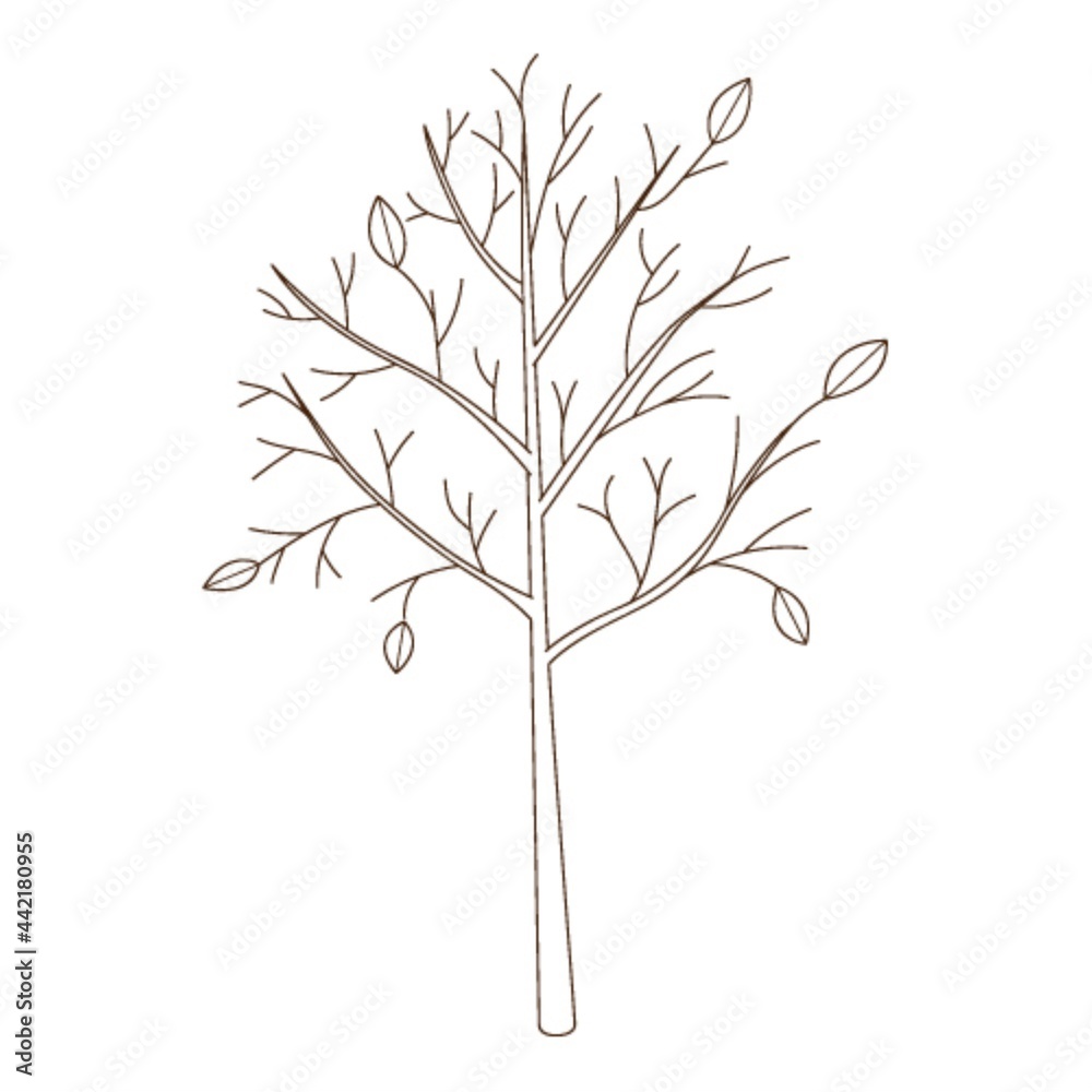 A bare tree with fallen leaves. Botanical, plant design element with outline. Doodle, hand-drawn. Flat design. CoBlack white lor vector illustration. Isolated on a white background. A bare tree with fallen leaves. Botanical, plant design element with outline. Doodle, hand-drawn. Flat design. CoBlack white lor vector illustration. Isolated on a white background.