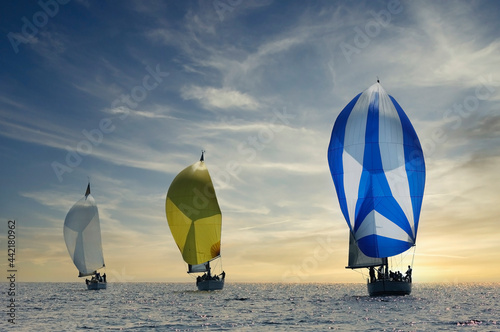 Three sailboats with spinnakers sailing at sunset