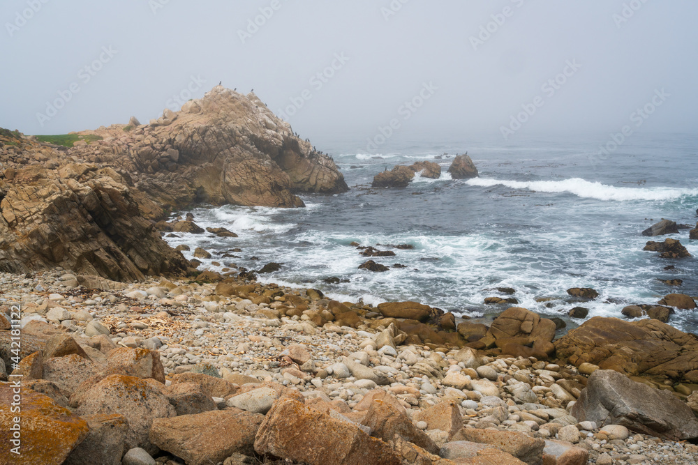 17 Mile Drive Coastal Front in Pacific Groove