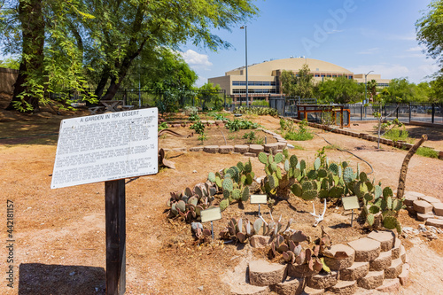Photography Sunny view of the garden of Old Las Vegas Mormon Fort State Historic Park