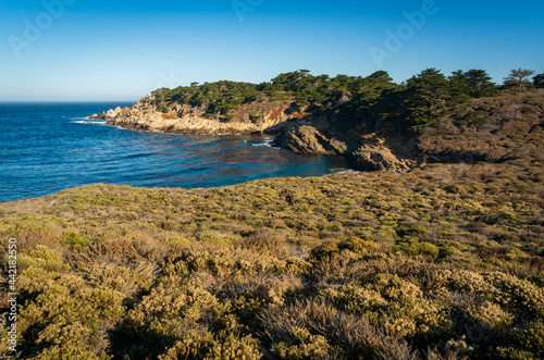 The coast at Point Lobos in California