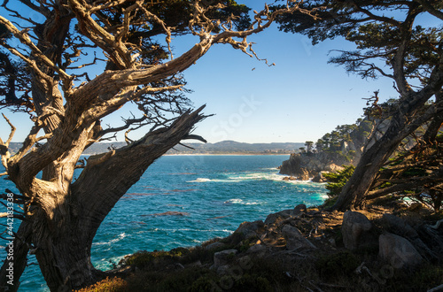 The coast at Point Lobos in California © Zack Frank