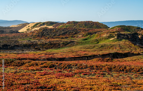 Fort Ord Dunes State Park in Coastal Monterey photo