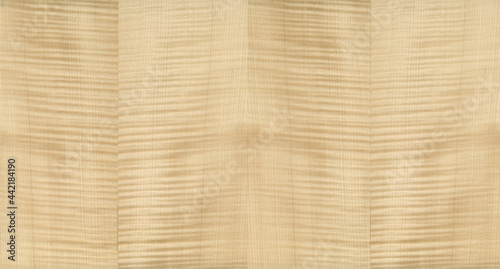 Beautiful rippled sycamore veneer texture seamless high resolution isolated photo