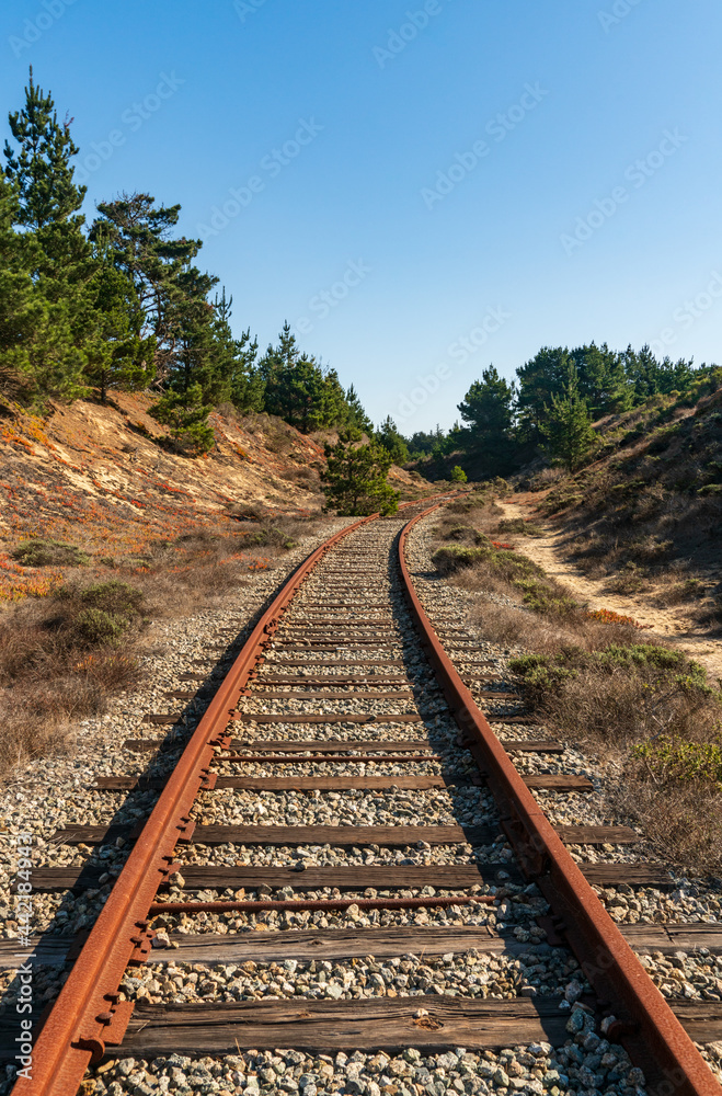 Fototapeta premium Fort Ord Dunes State Park in Coastal Monterey
