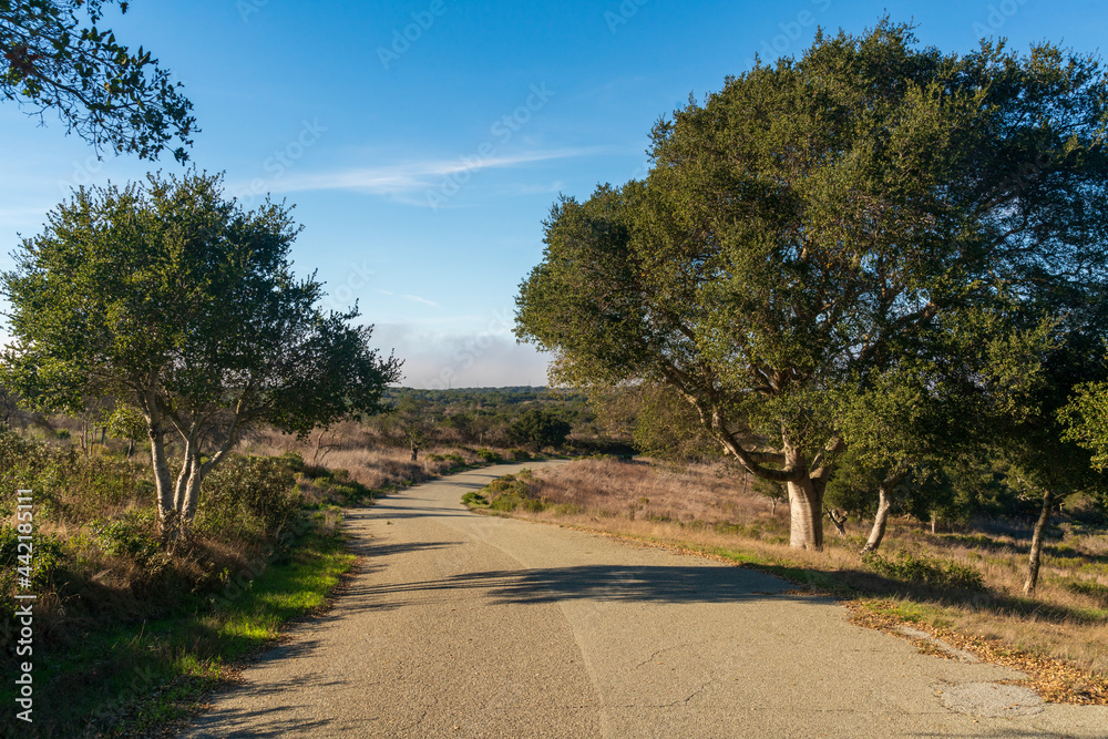 Fototapeta premium Fort Ord National Monument in California