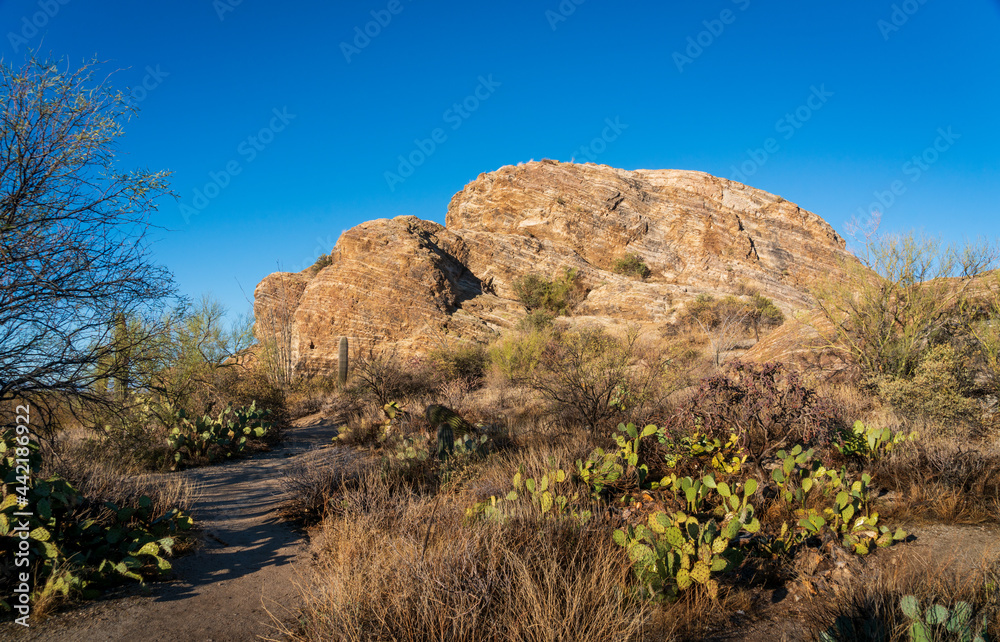 Boulders and Landscape at Saguaro National Park in Southern Arizona