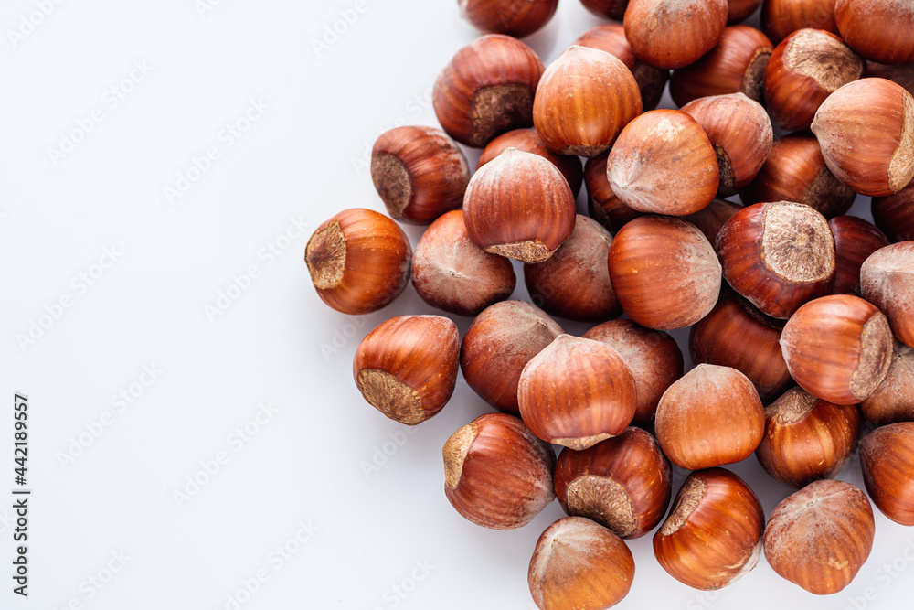 fresh natural hazelnuts on a white acrylic background fresh natural hazelnuts on a white acrylic background