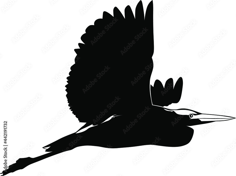 Obraz premium Black and white image of a flying heron vector illustration