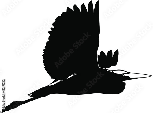 Black and white image of a flying heron vector illustration