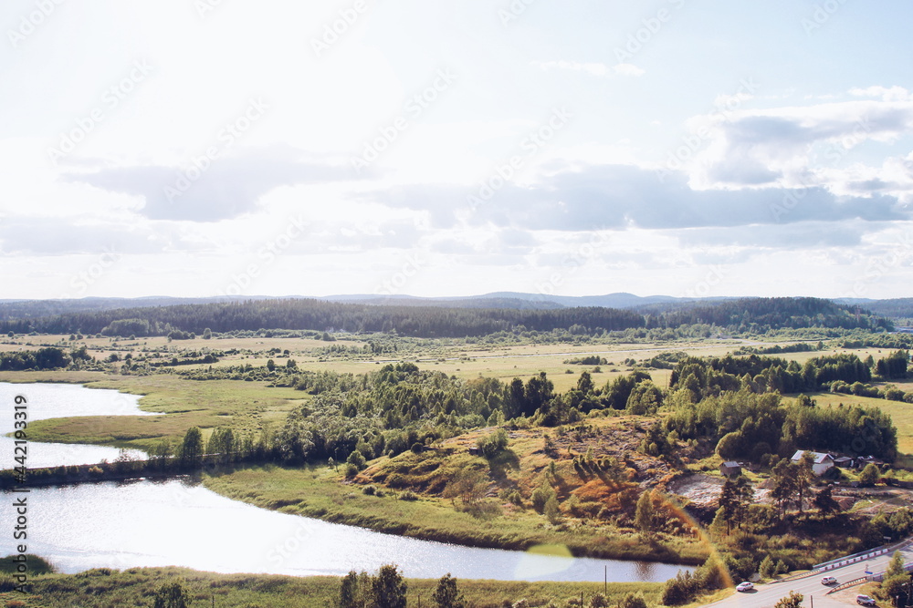 landscape with river and forest