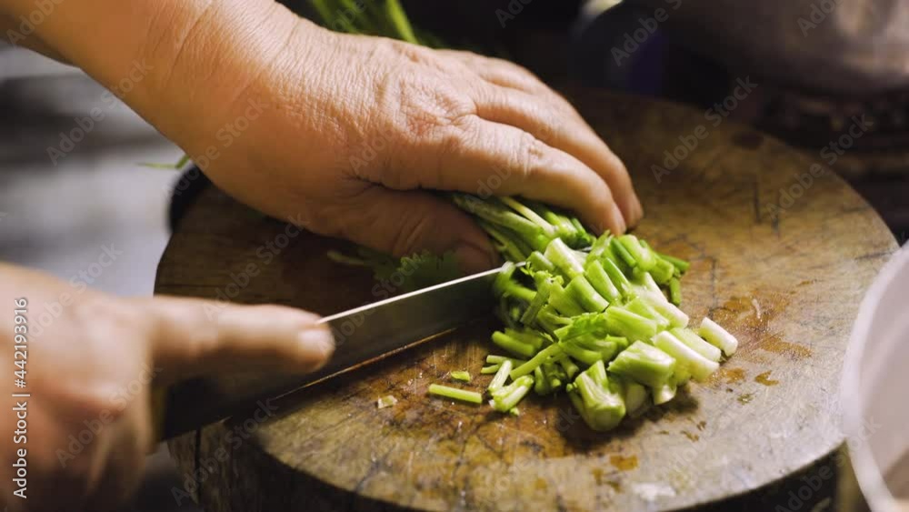 Coriander and spring onion get cutting on wooden board. preparing for vegetarian food. Chinese food. Asian food. Coriander and spring onion get cutting on wooden board. preparing for vegetarian food. Chinese food. Asian food.