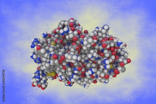Molecular model of human erythropoietin (EPO, epoetin). Atoms are shown as spheres with color coding: carbon (grey), hydrogen (white), oxygen (red), nitrogen (blue), sulfur (yellow). 3d illustration photo