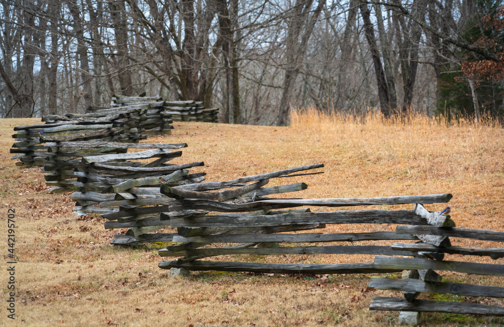 Fototapeta premium Fence at Fort Donelson National Battlefield
