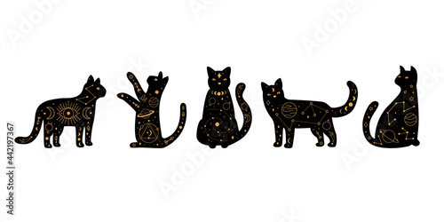 set celestial magic and astrological black cats.