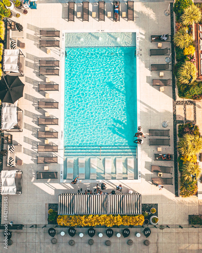 Rooftop Pool Skyline