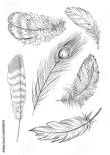 Feather illustrations to color. Black outlines